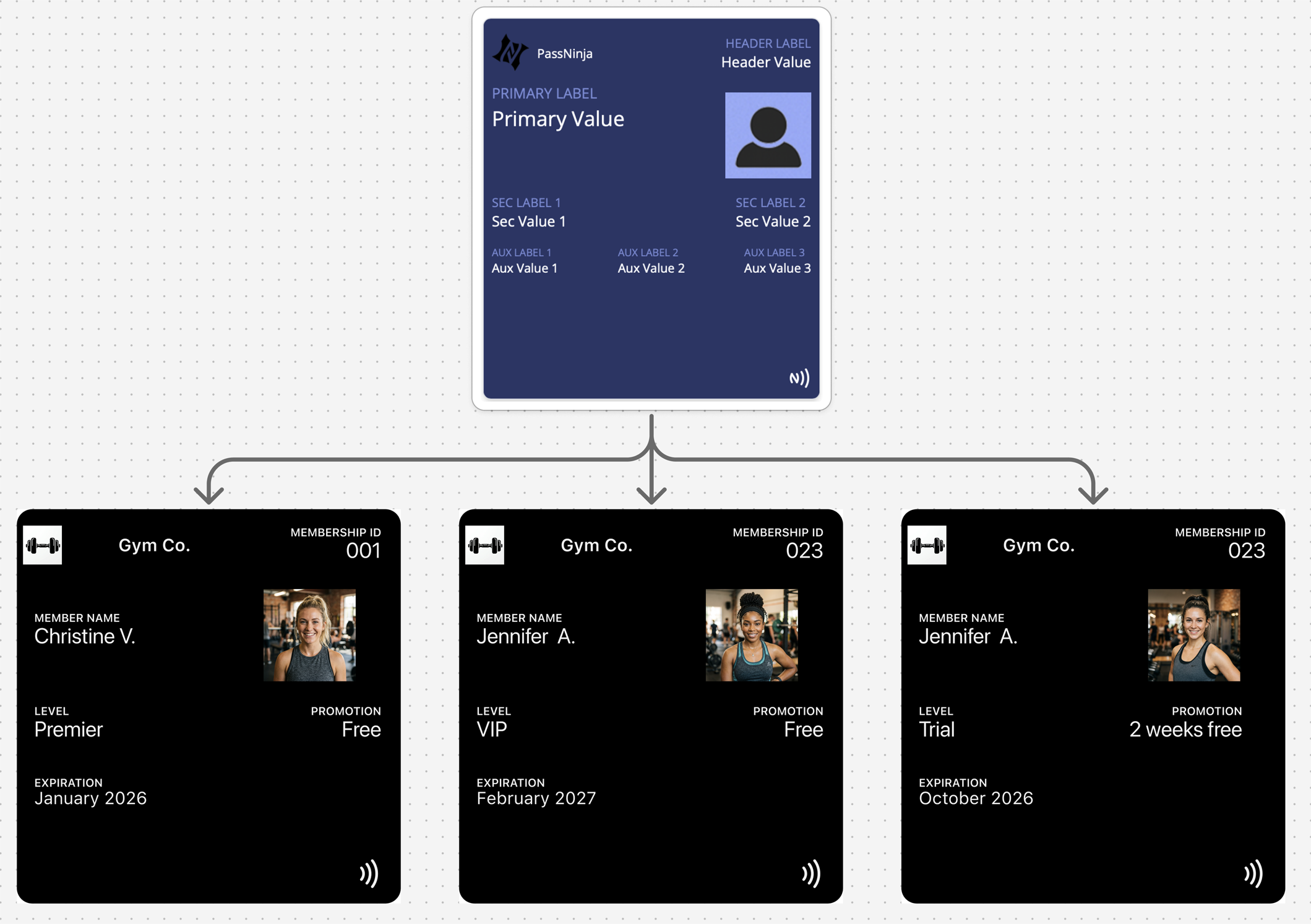 Designing Access Passes - Pass Type Design - PassNinja